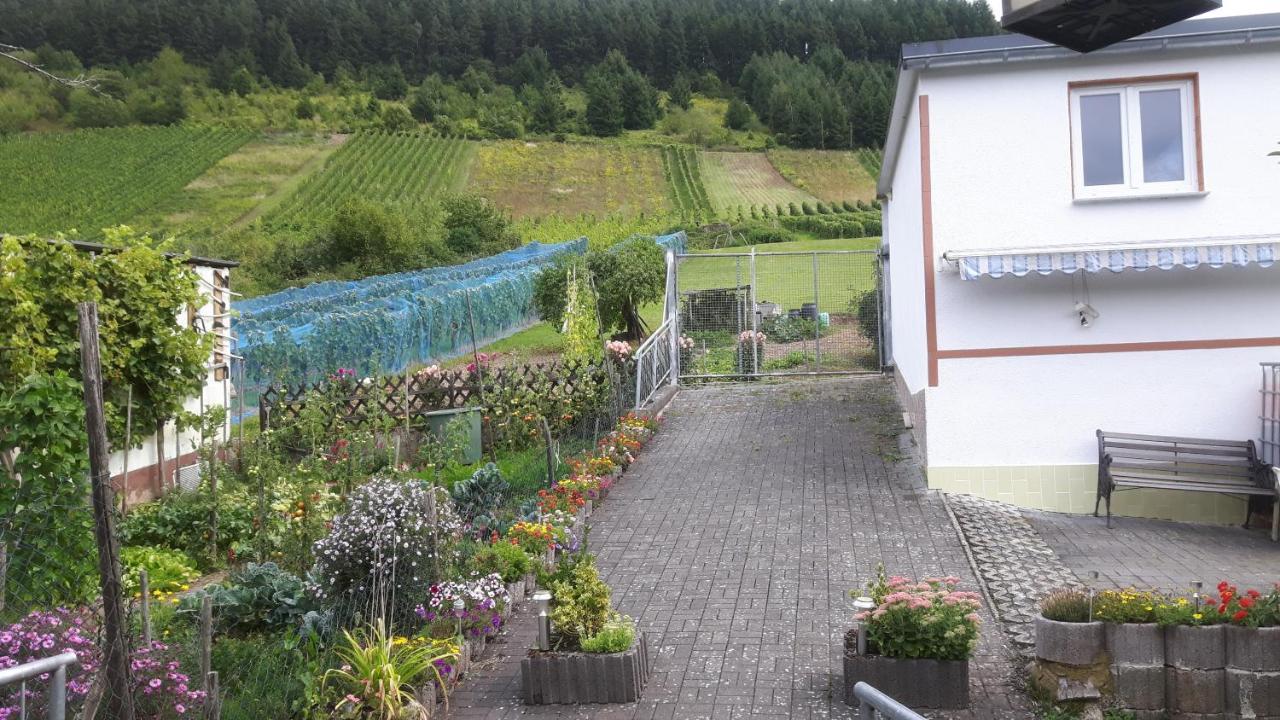 Zwei Ferienwohnungen "Im Weingarten " Burg  Экстерьер фото