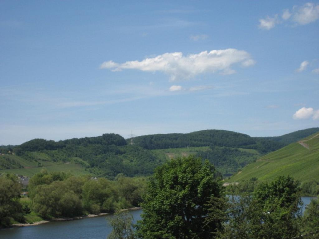 Zwei Ferienwohnungen "Im Weingarten " Burg  Экстерьер фото
