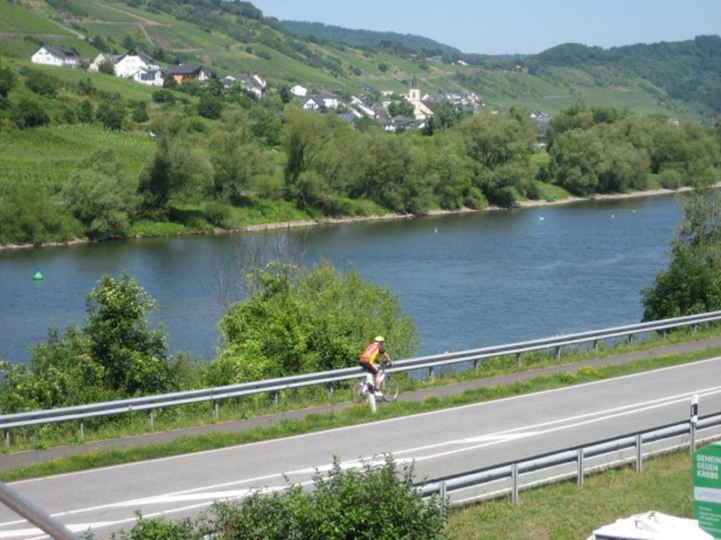 Zwei Ferienwohnungen "Im Weingarten " Burg  Экстерьер фото